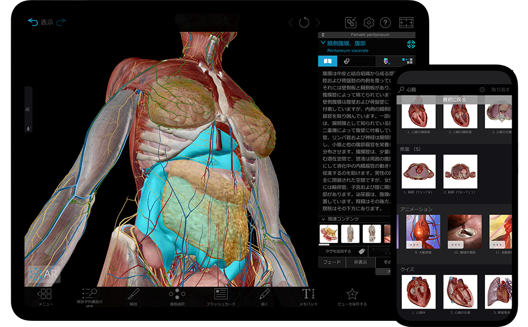超人気の 日本医事新報社 Anatomy アナトミー アナトミーの通販 語学 